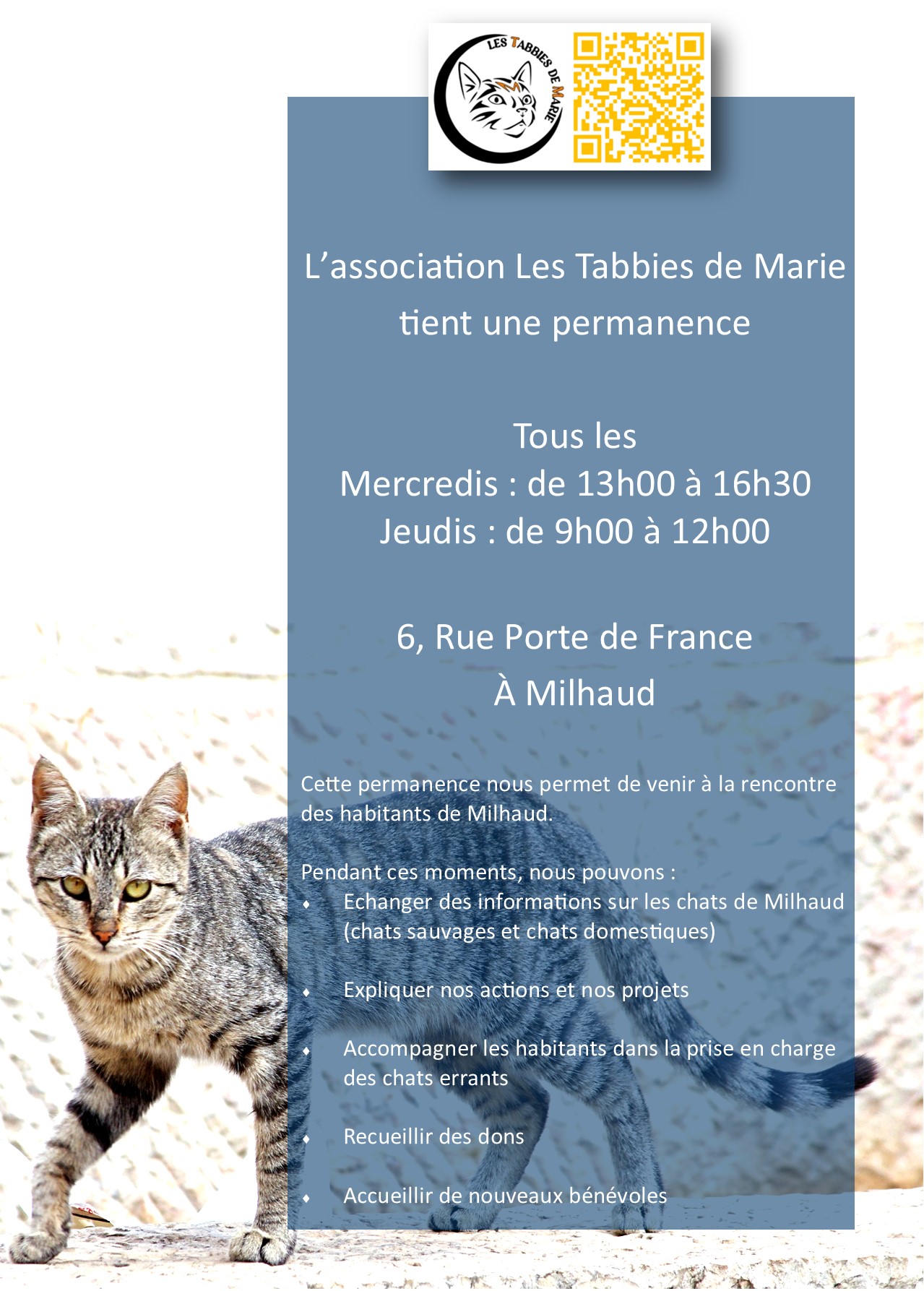 permanence tabbies mairie