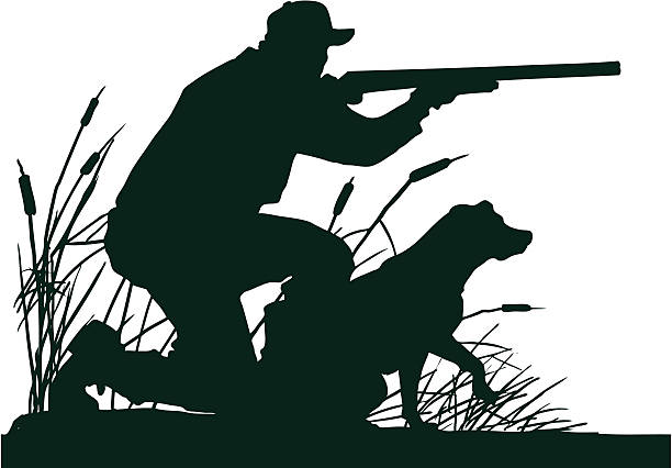 A silhouette of a duck hunter poised to shoot with his retrieving dog ready to retrieve his quarry.