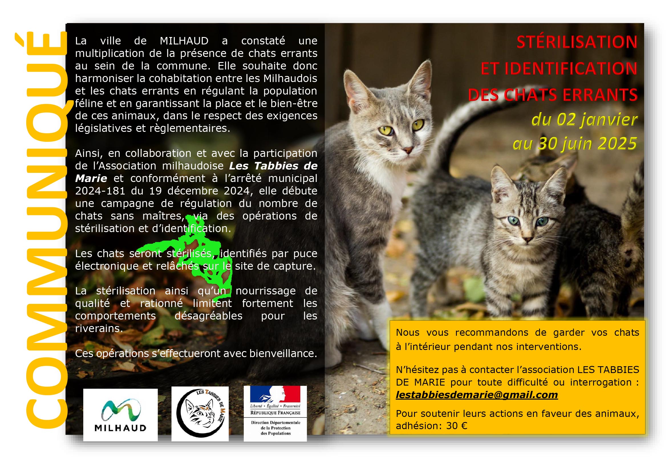 2025 COMMUNIQUE CAMPAGNE STERILISATION CHATS