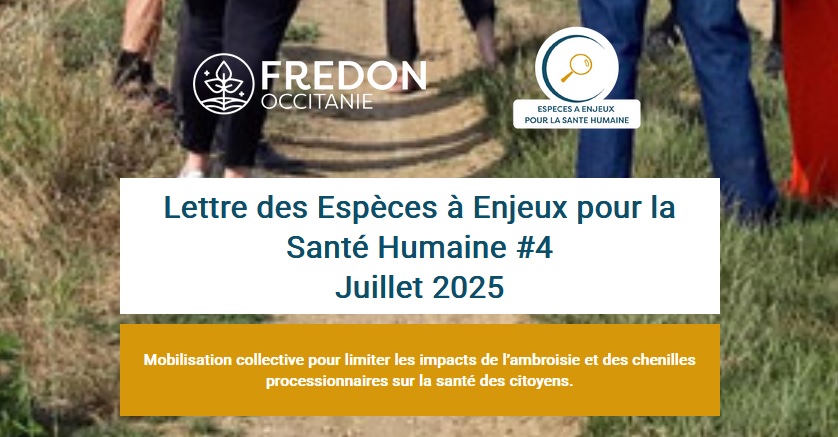 LA LETTRE JUILLET 2025