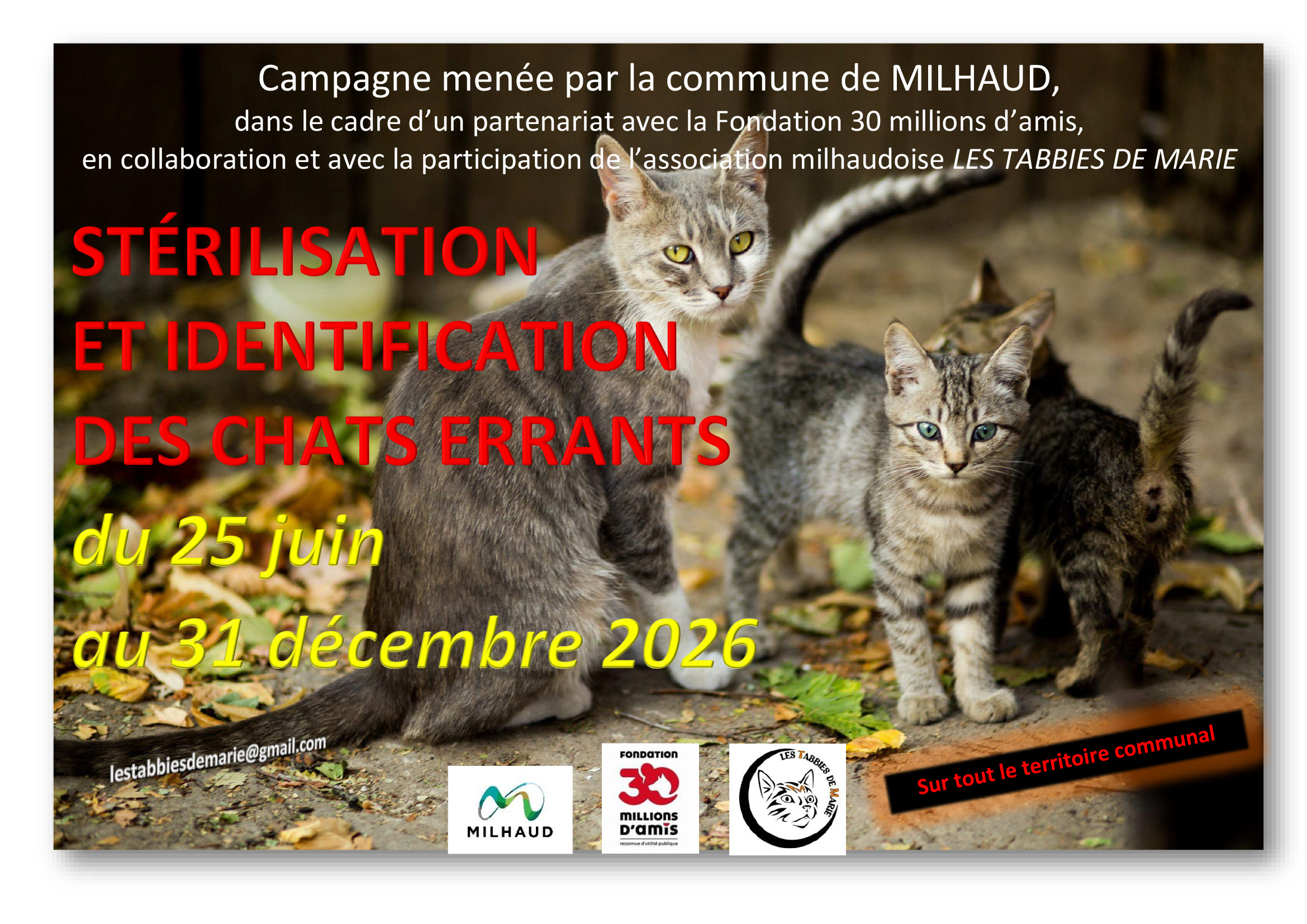 AFF CAMPAGNE STERILISATION CHATS 2026