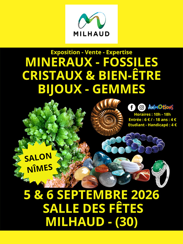 SALON MINERAUX FOSSILES CRISTAUX 05 06 09 2026